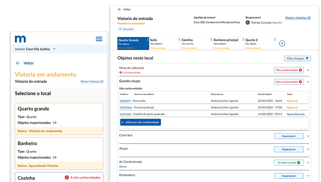 Interface mostrando vistoria de entrada
